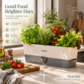 Indoor Kitchen Garden Planter