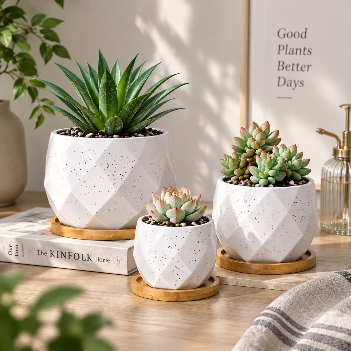 Modern Succulent Ceramic Planter