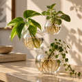 Triple Sphere Glass Propagation Vase