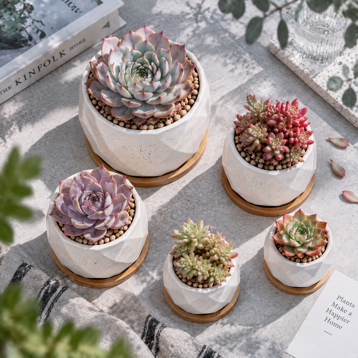 Modern Succulent Ceramic Planter